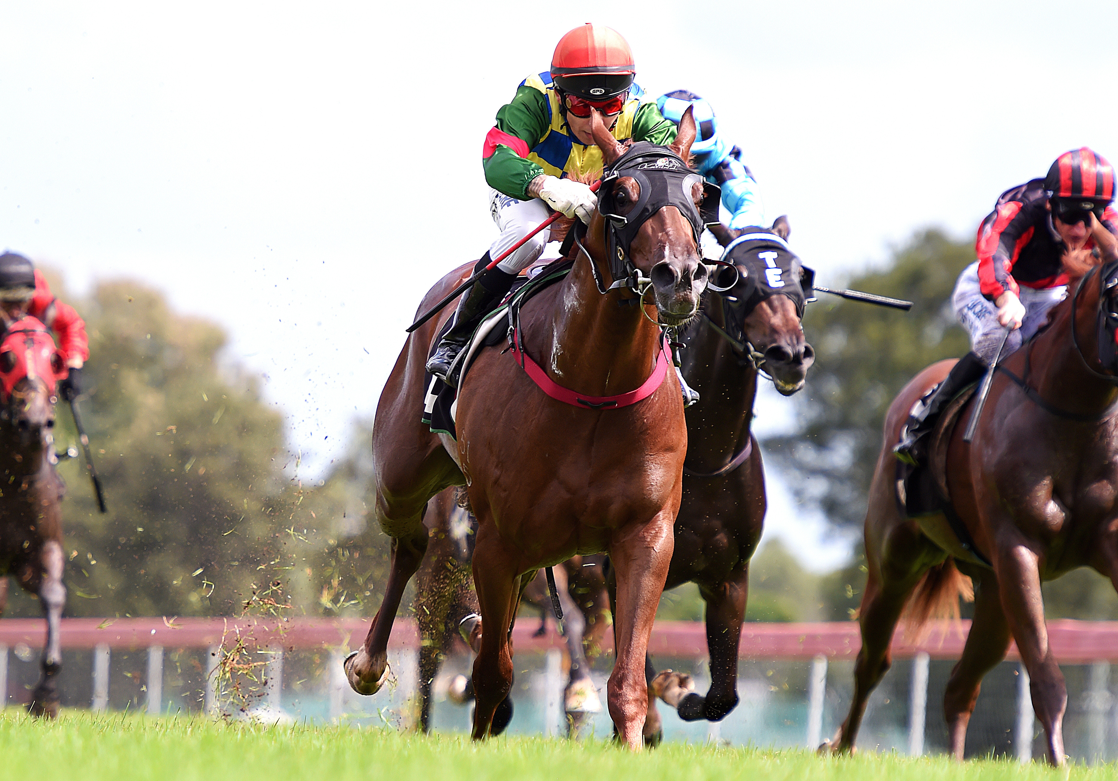 horse racing betting terms trifecta tonneau