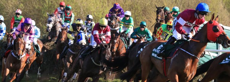 Grand National winner