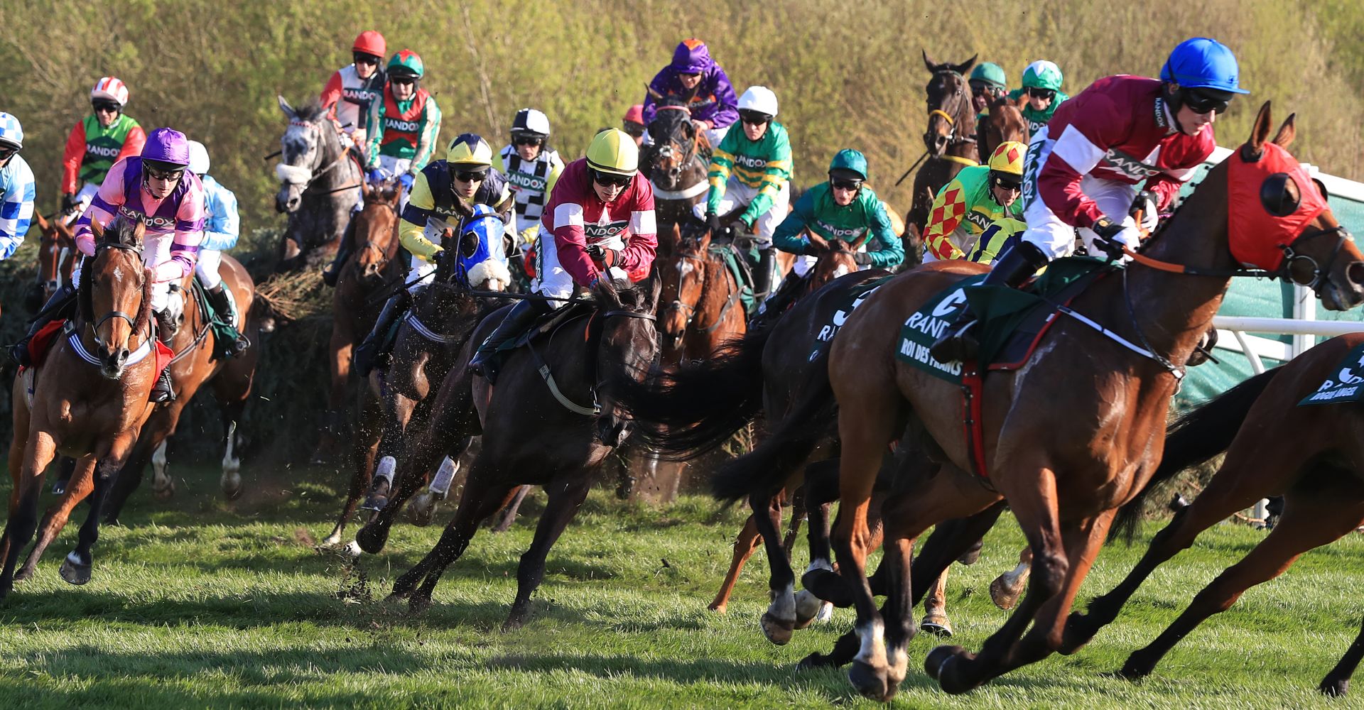 Grand National winner