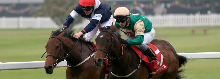 Vintage Brut is on the Royal Ascot 2018 Day 2 tips on ITV Racing