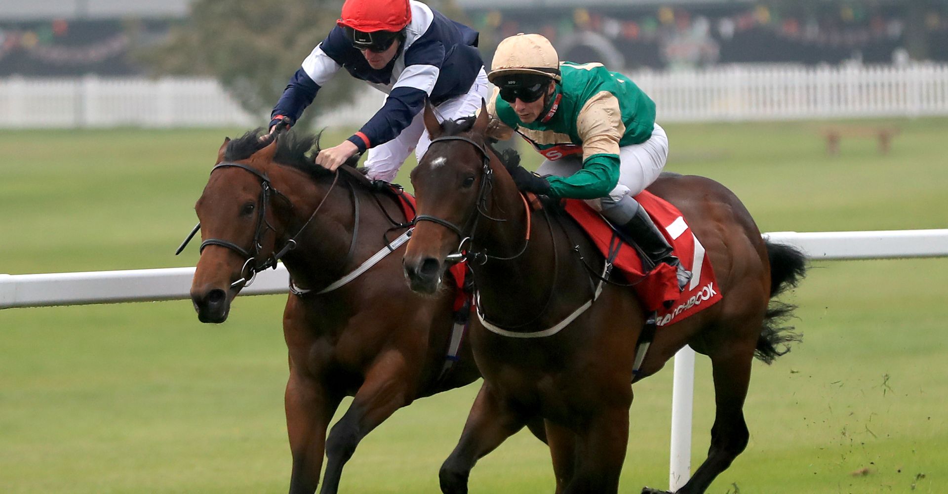 Vintage Brut is on the Royal Ascot 2018 Day 2 tips on ITV Racing