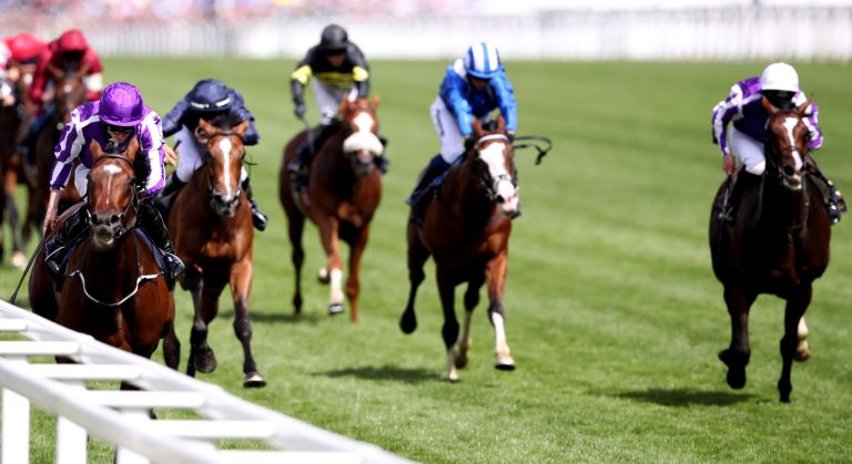 Horse Racing at Haydock Park