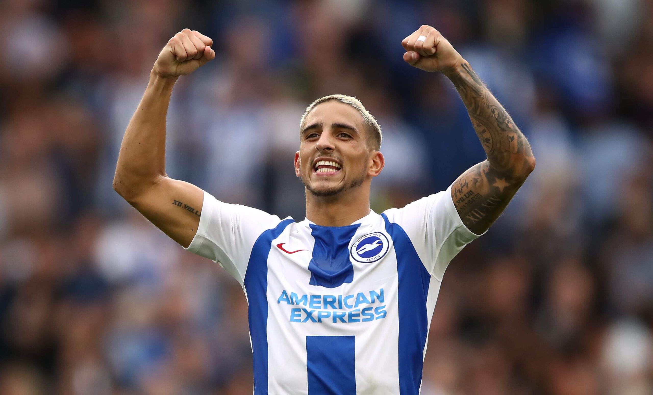 Cardiff vs Brighton predictions