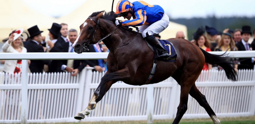 Idaho horse in a race