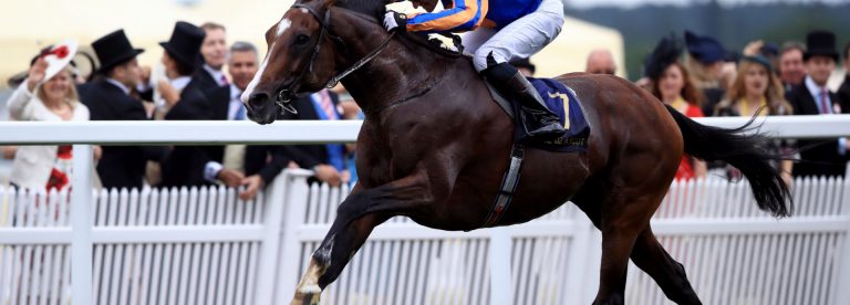 Idaho horse in a race