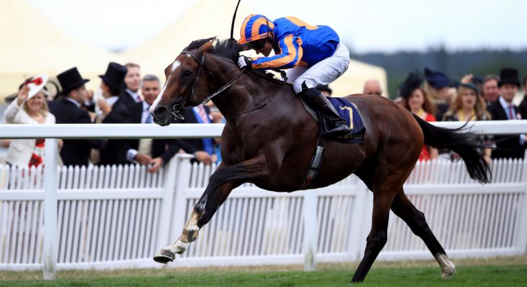 Idaho horse in a race