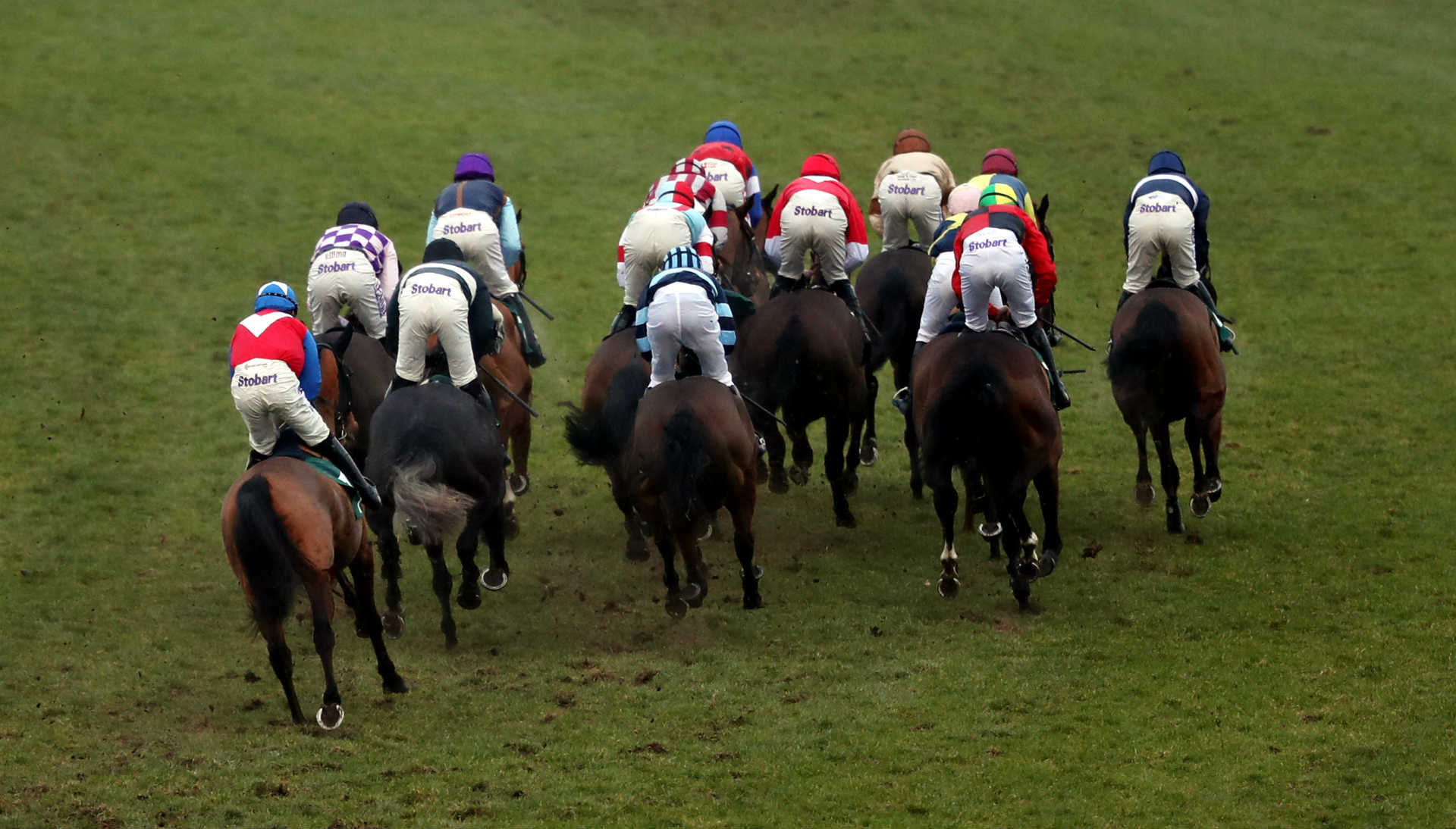 Ben 310 and get £30 on the horse racing