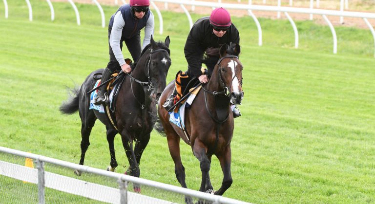 Vertem Futurity Trophy