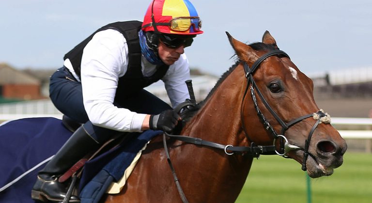 Champions stakes odds