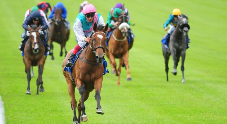 Horse racing betting tips