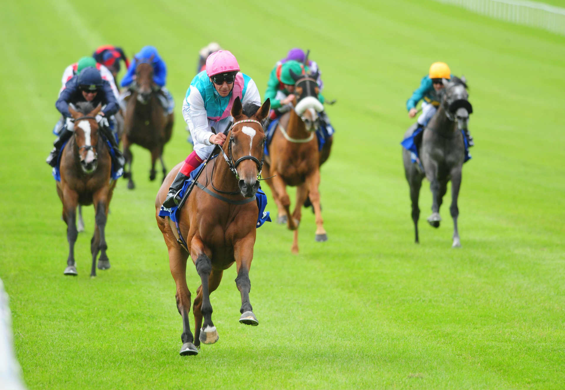 Horse racing betting tips