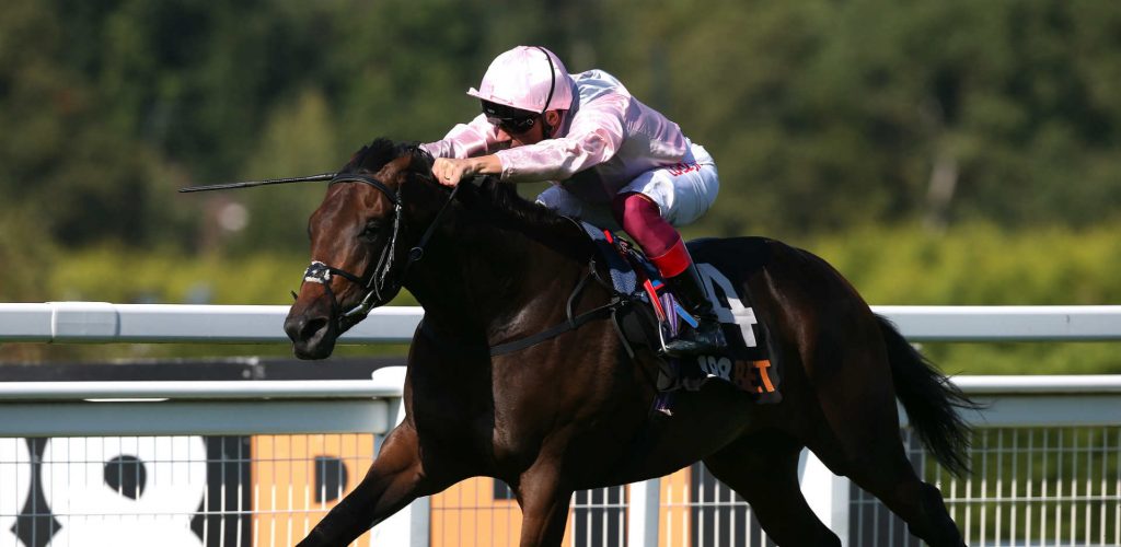 Too Darn Hot Dante Stakes 2019 betting odds