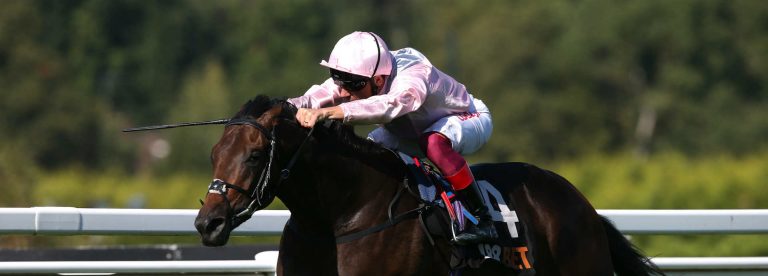 Too Darn Hot Dante Stakes 2019 betting odds