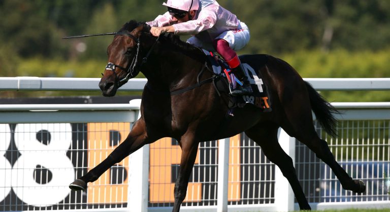 Too Darn Hot Dante Stakes 2019 betting odds