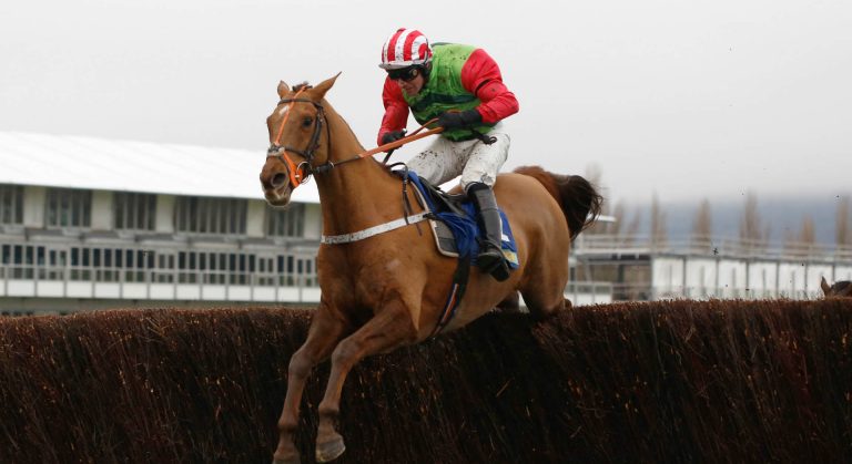 Charlie Hall Chase betting