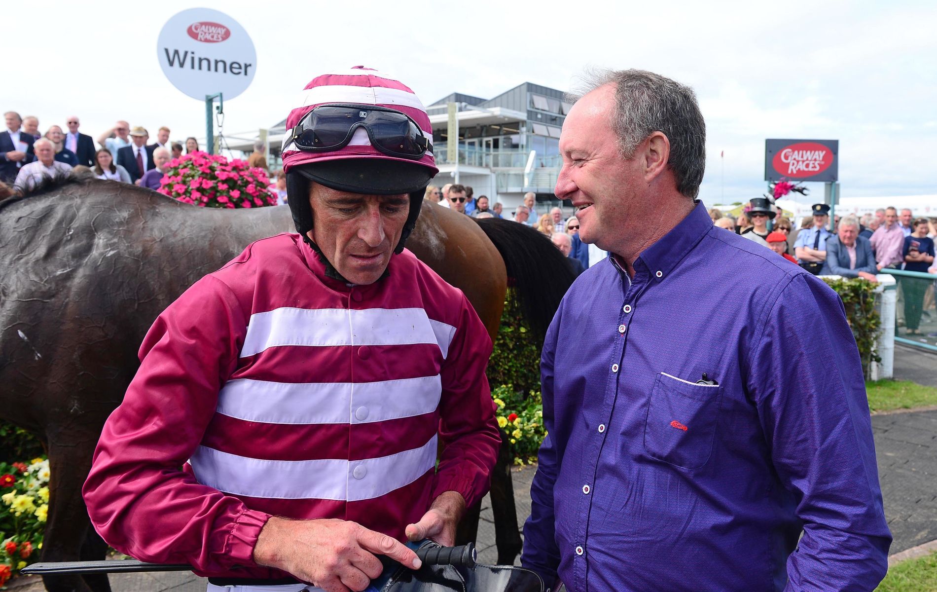 Pertemps Final ante-post betting Dawn Raider