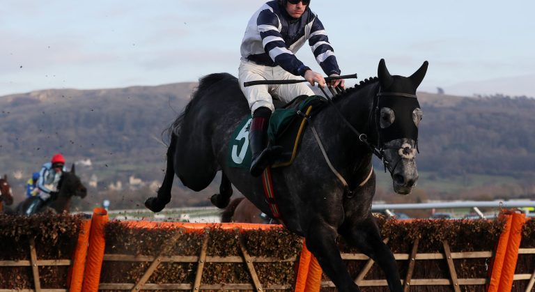 Supreme Novices' Hurdle betting odds Al Dancer
