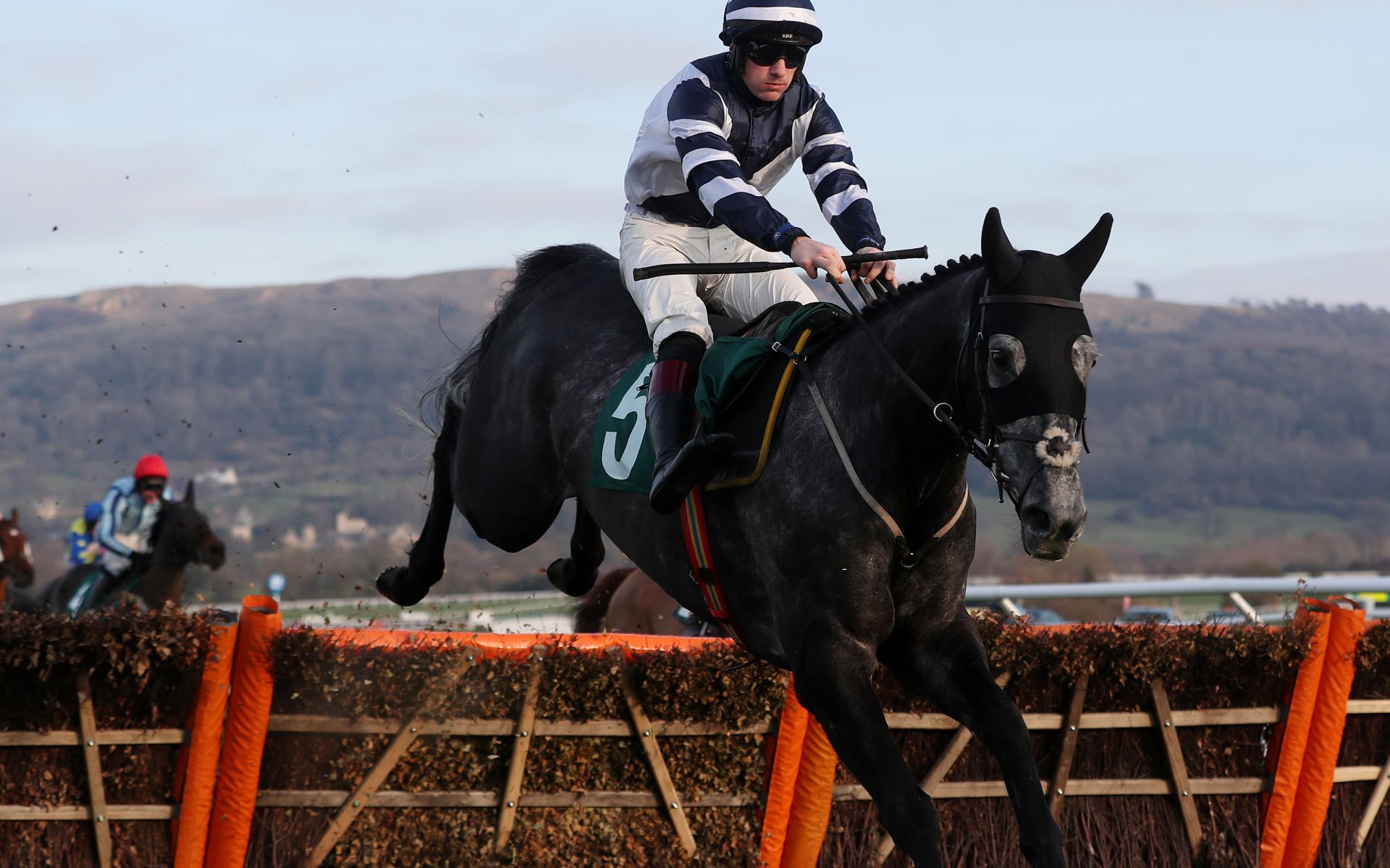 Supreme Novices' Hurdle betting odds Al Dancer