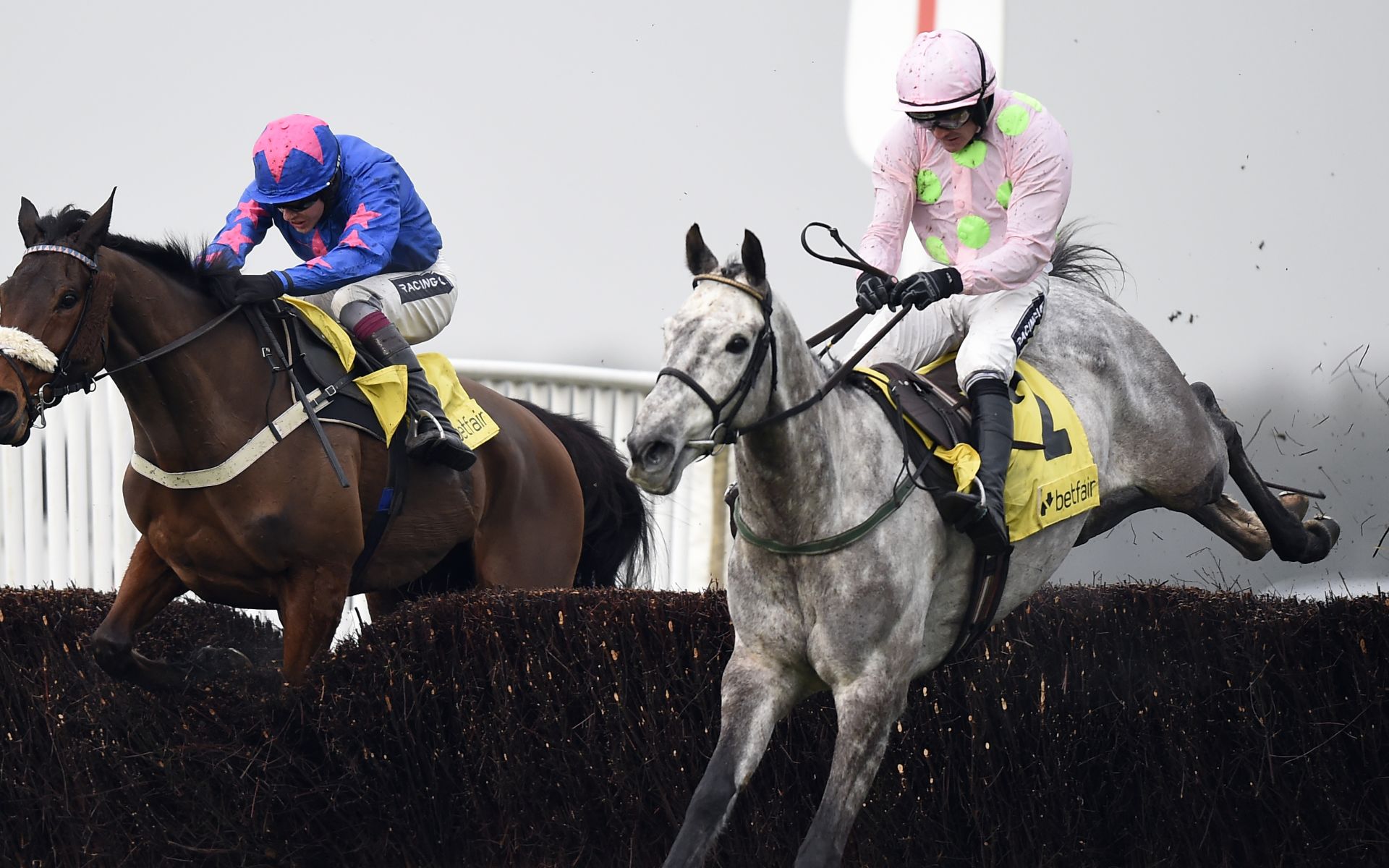 Ballycasey Cross Country Chase betting odds