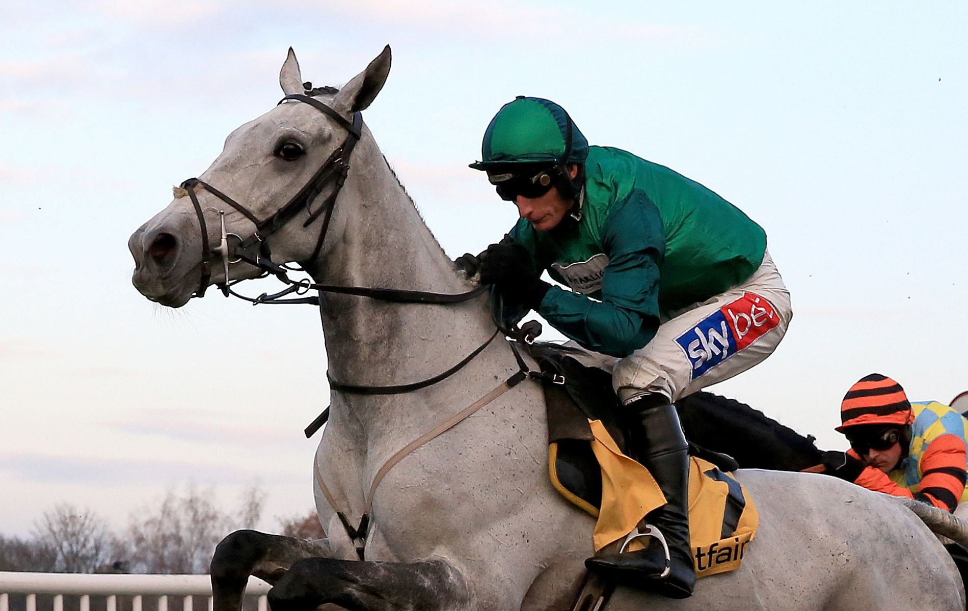 Bristol De Mai Grand National odds