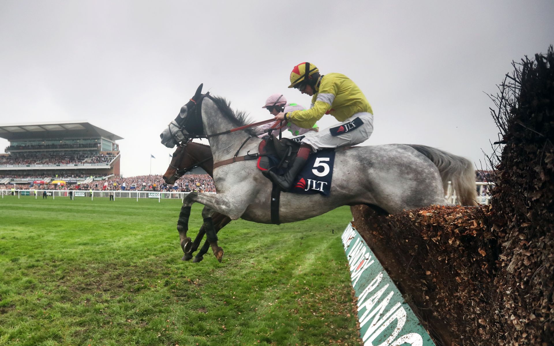 Ascot Chase betting tips