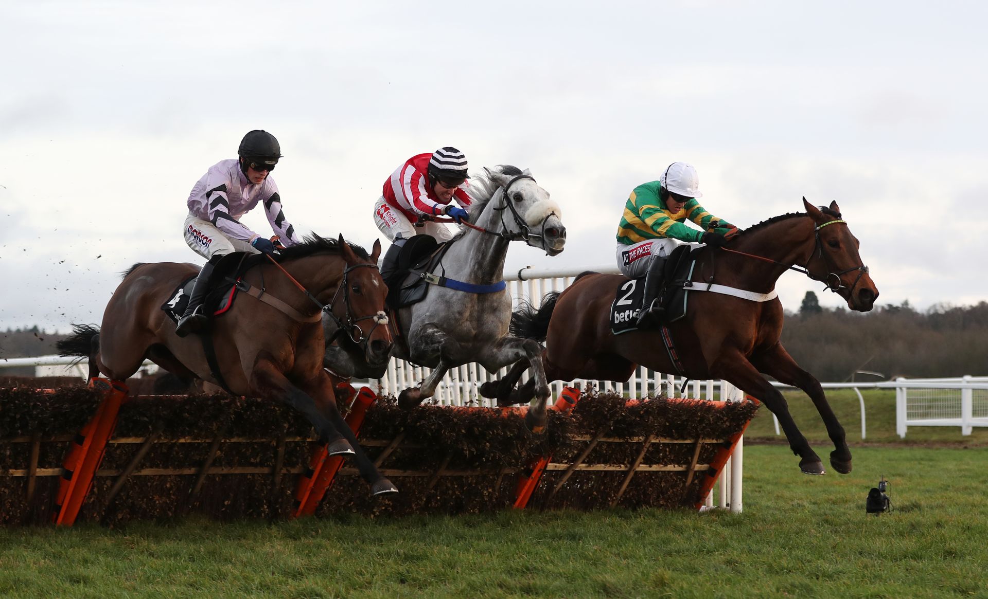 Ballymore Novices' Hurdle betting