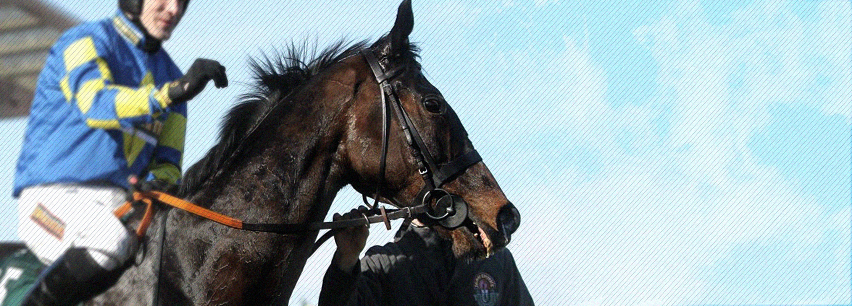 The different ways you can own a racehorse, explained