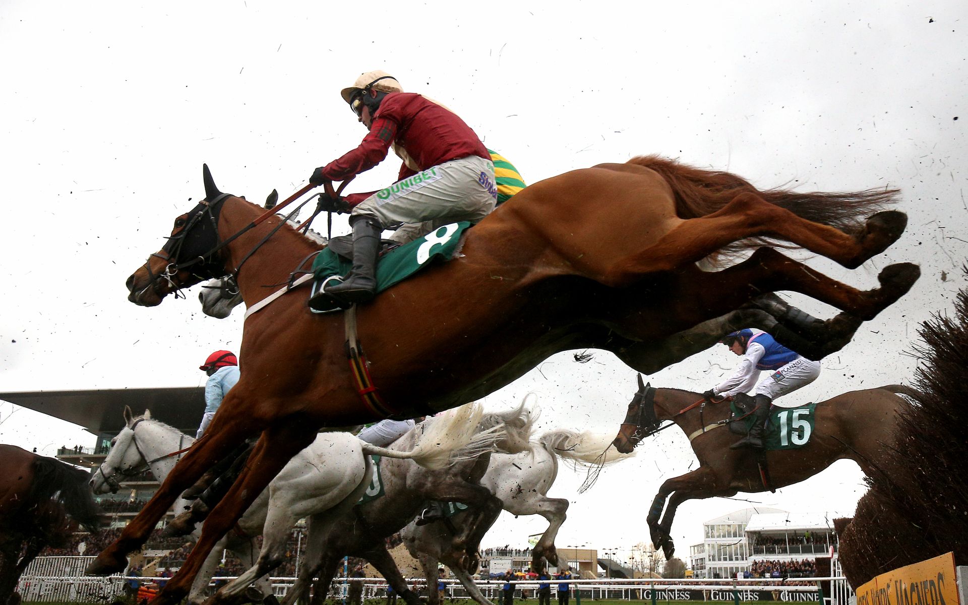 Red Rum Handicap Chase betting