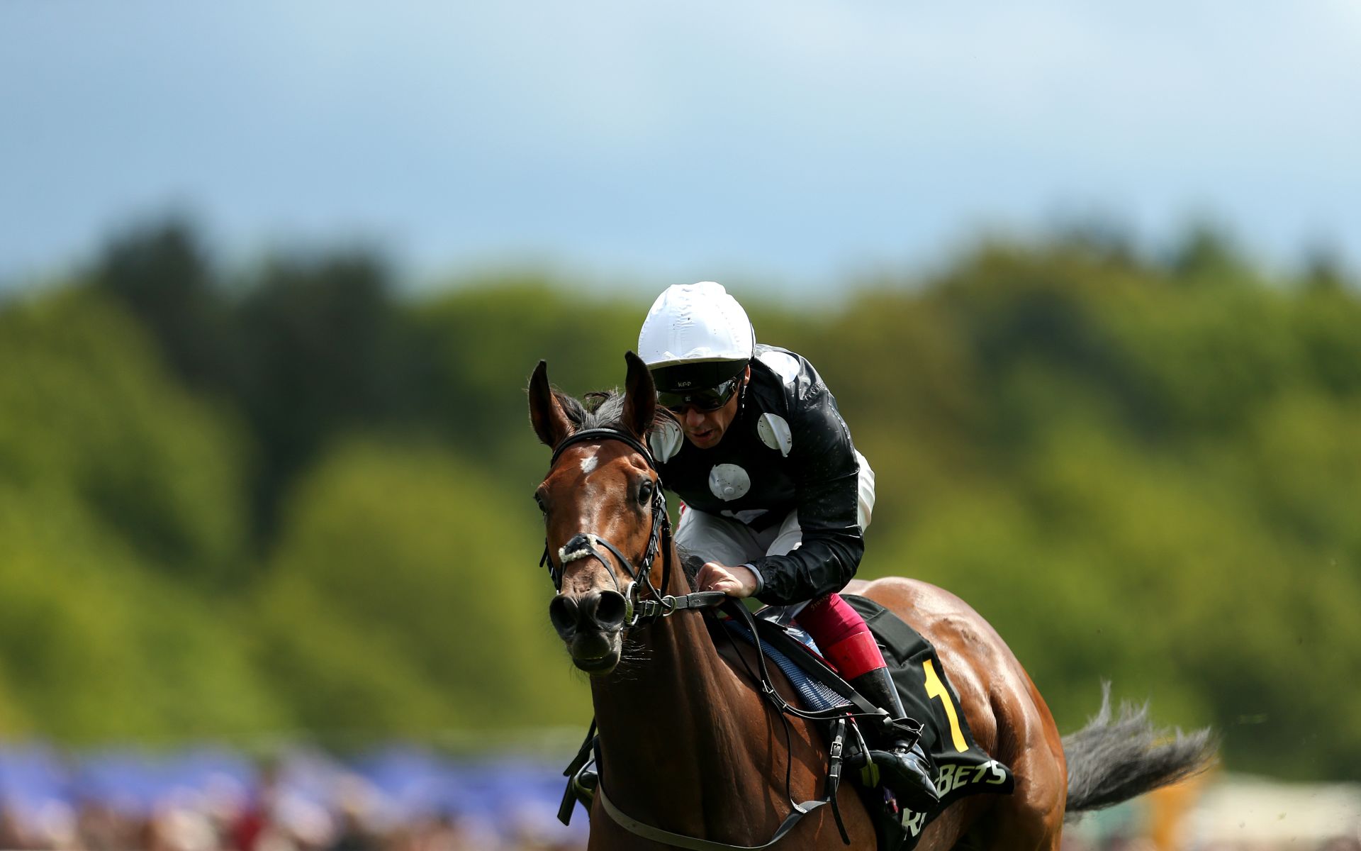 Epsom Oaks betting odds Anapurna