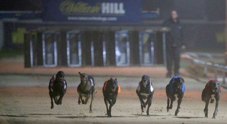 Greyhound Derby 2019 betting odds Droop's Verve