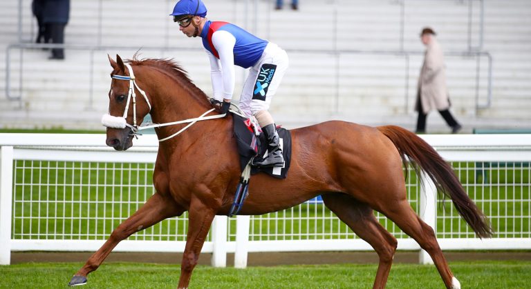 Circus Couture Royal Hunt Cup betting tips