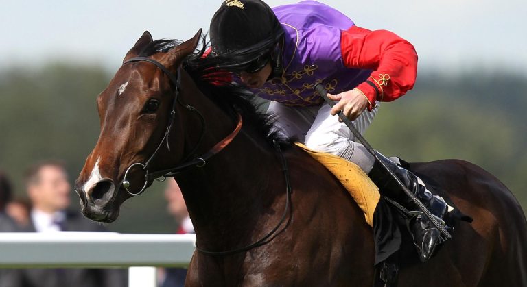 The Queen's Estimate at Royal Ascot 2013 she wore a purple hat to match her silks