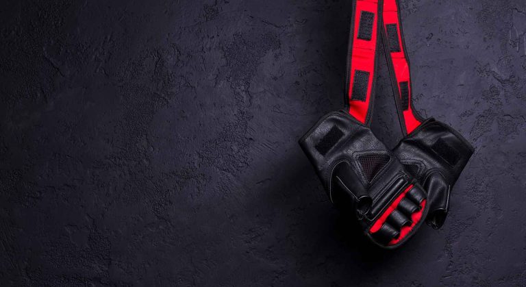 WHN promotion banner image