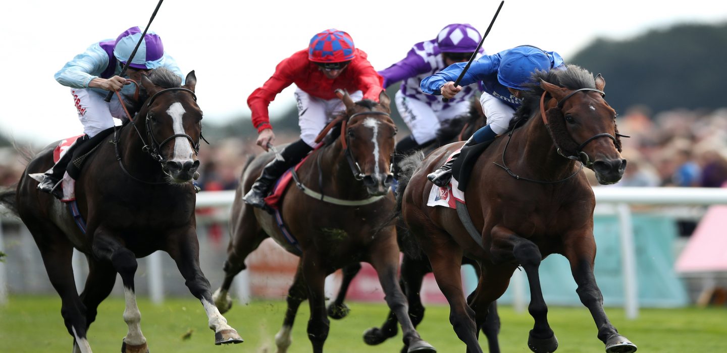 yorkshire-ebor-tips-predictions-news-william-hill