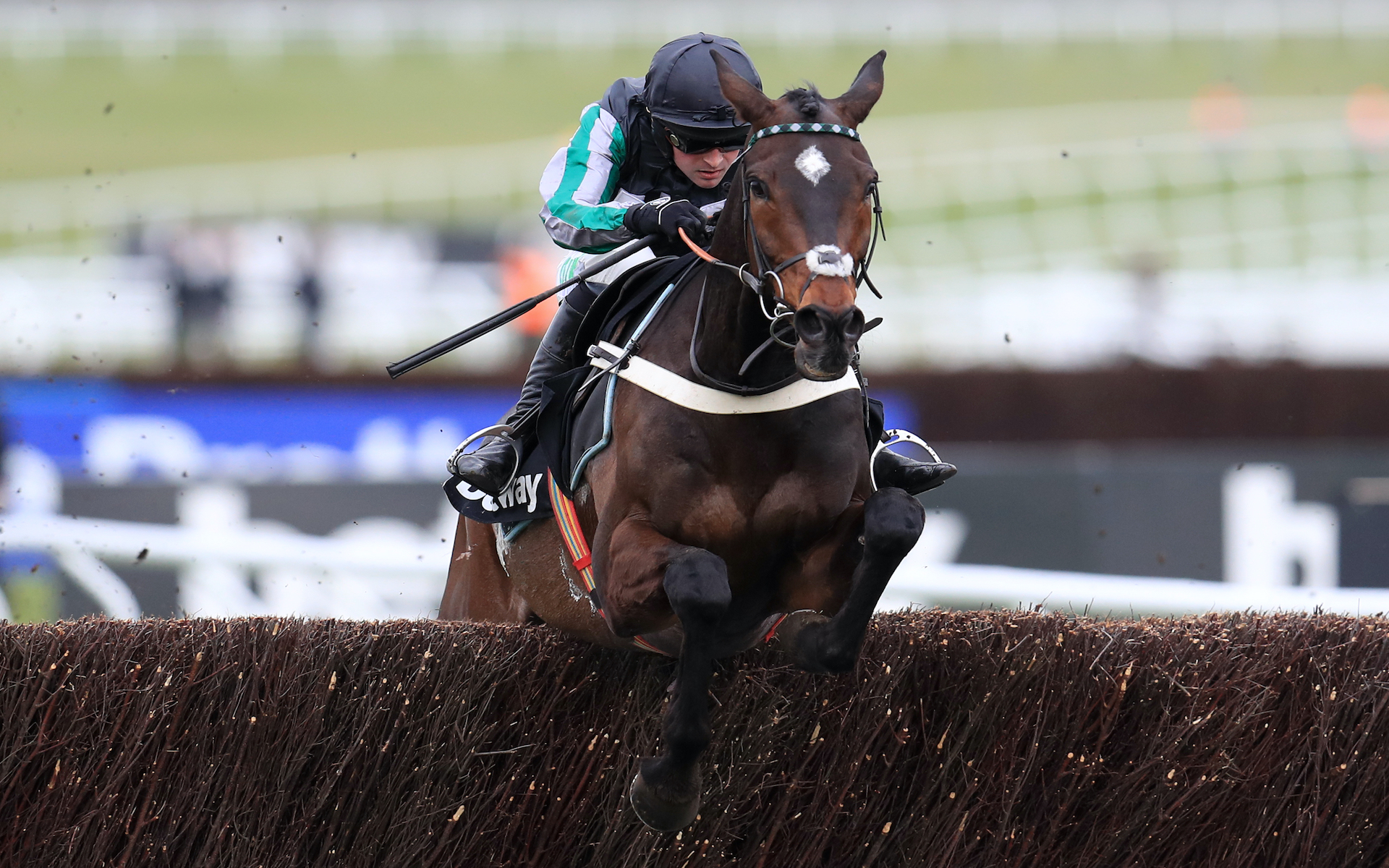 Beginners Guide To Horse Racing Accumulators William Hill