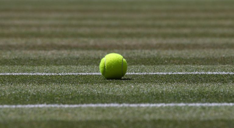 WHN promotion banner image