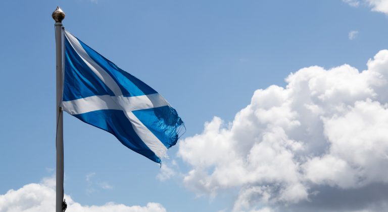 WHN promotion banner image