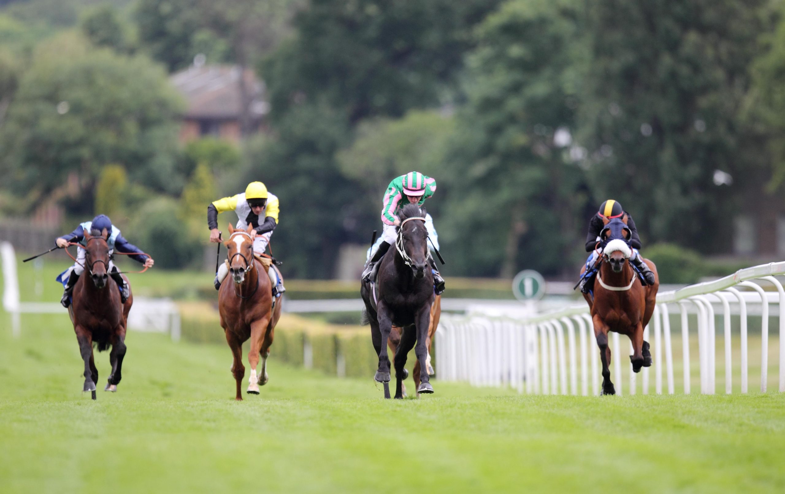 Haydock Park Saturday 31st May 2025 Tips