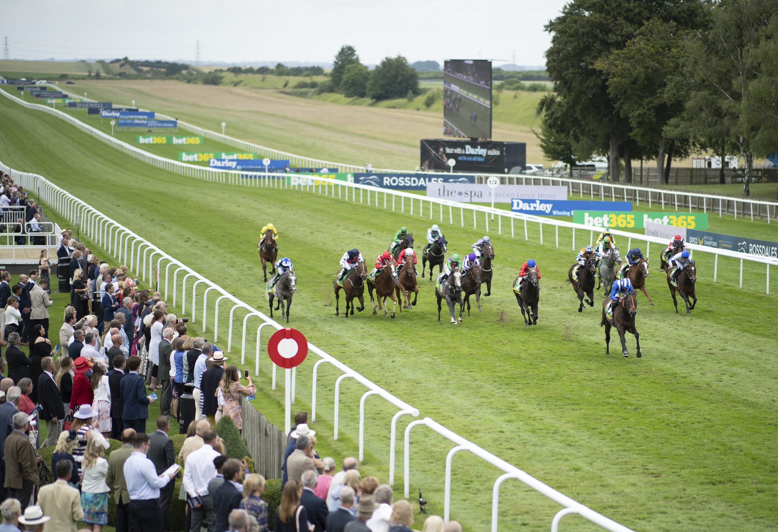 Newmarket July Festival