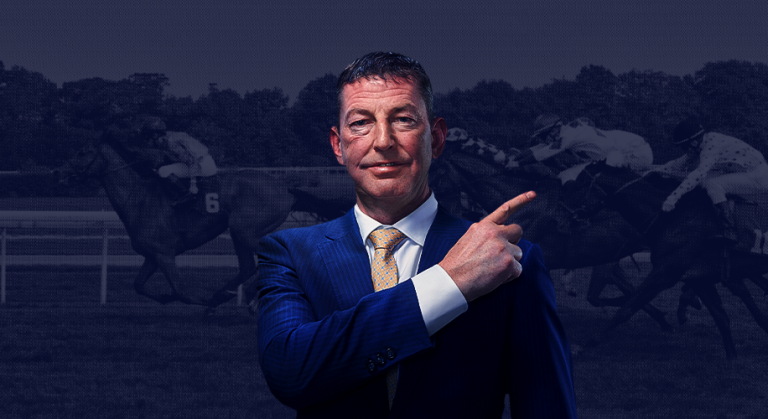 WHN promotion banner image