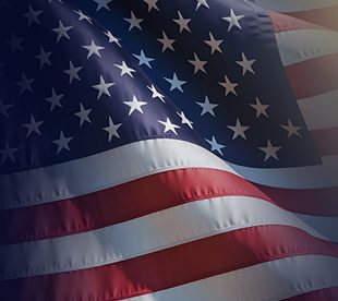 USA Election