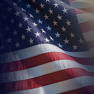 USA Election