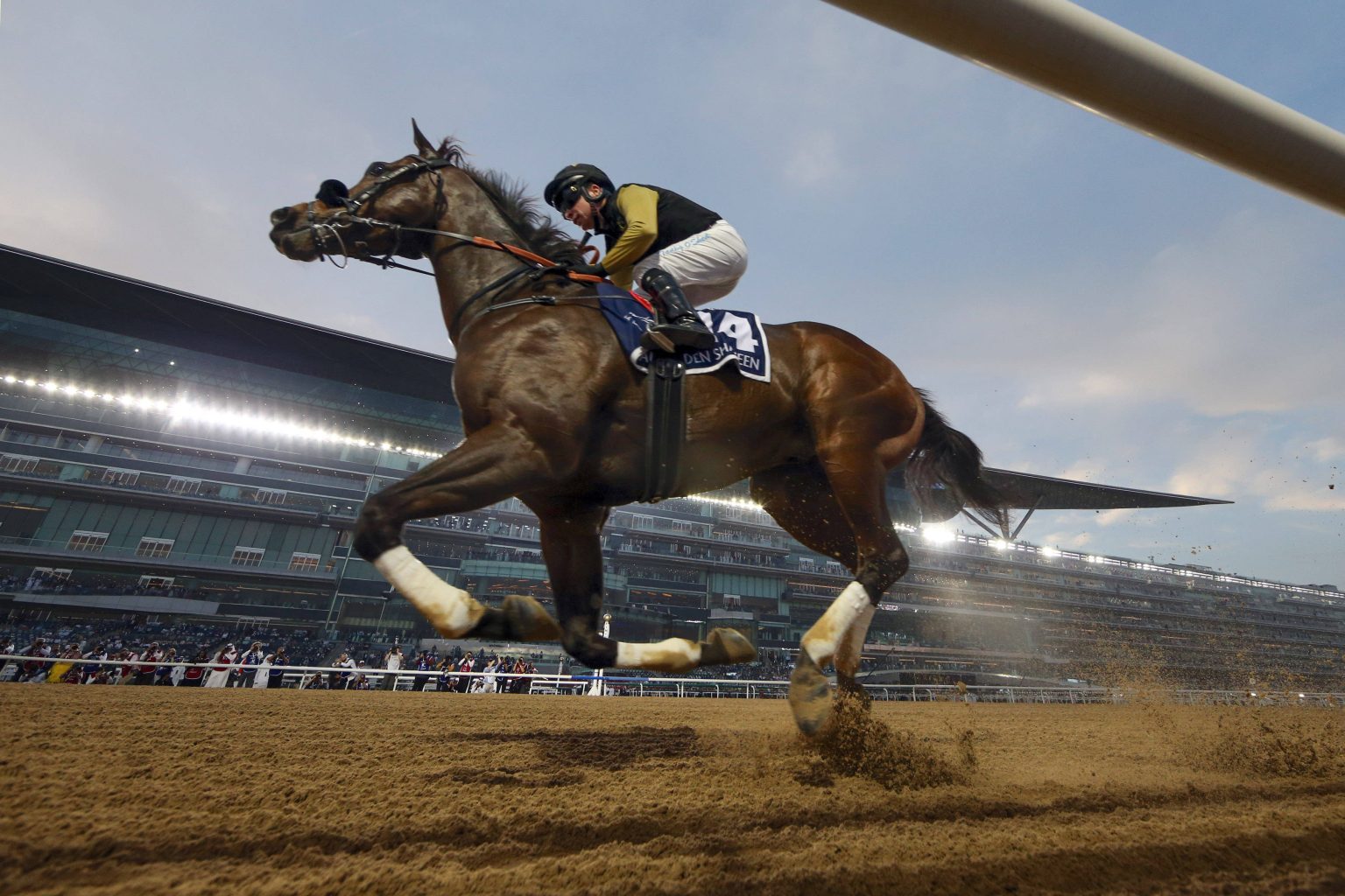 Meydan Racing Preview: 10/01/25