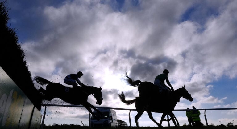 WHN promotion banner image