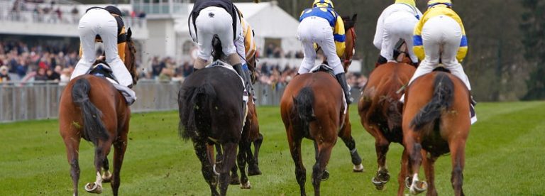 King George VI Chase Runners By Runners