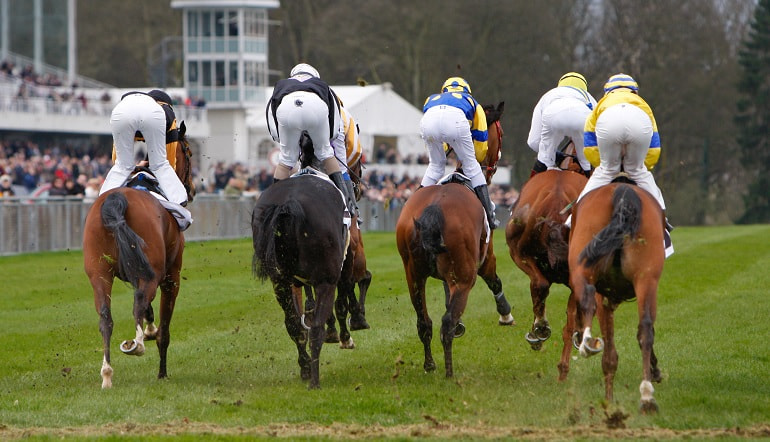 King George VI Chase Runners By Runners