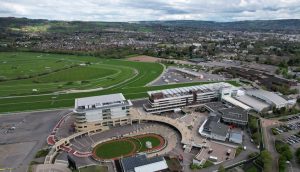 Antepost Tips After Cheltenham Festival Mares Entries