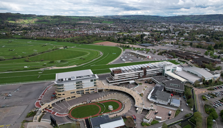 Cheltenham Mares Entries