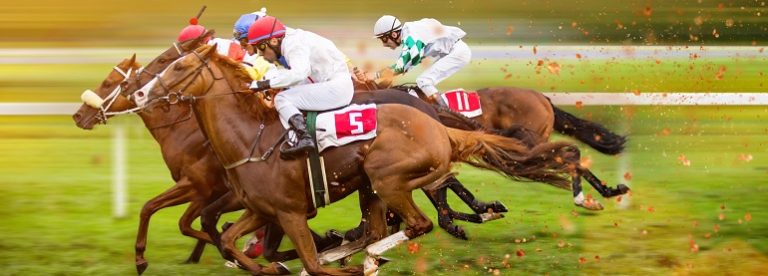 Horse Racing