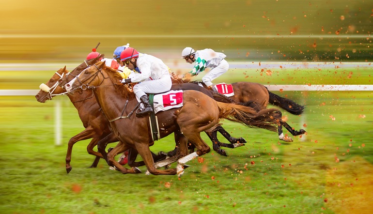 Horse Racing